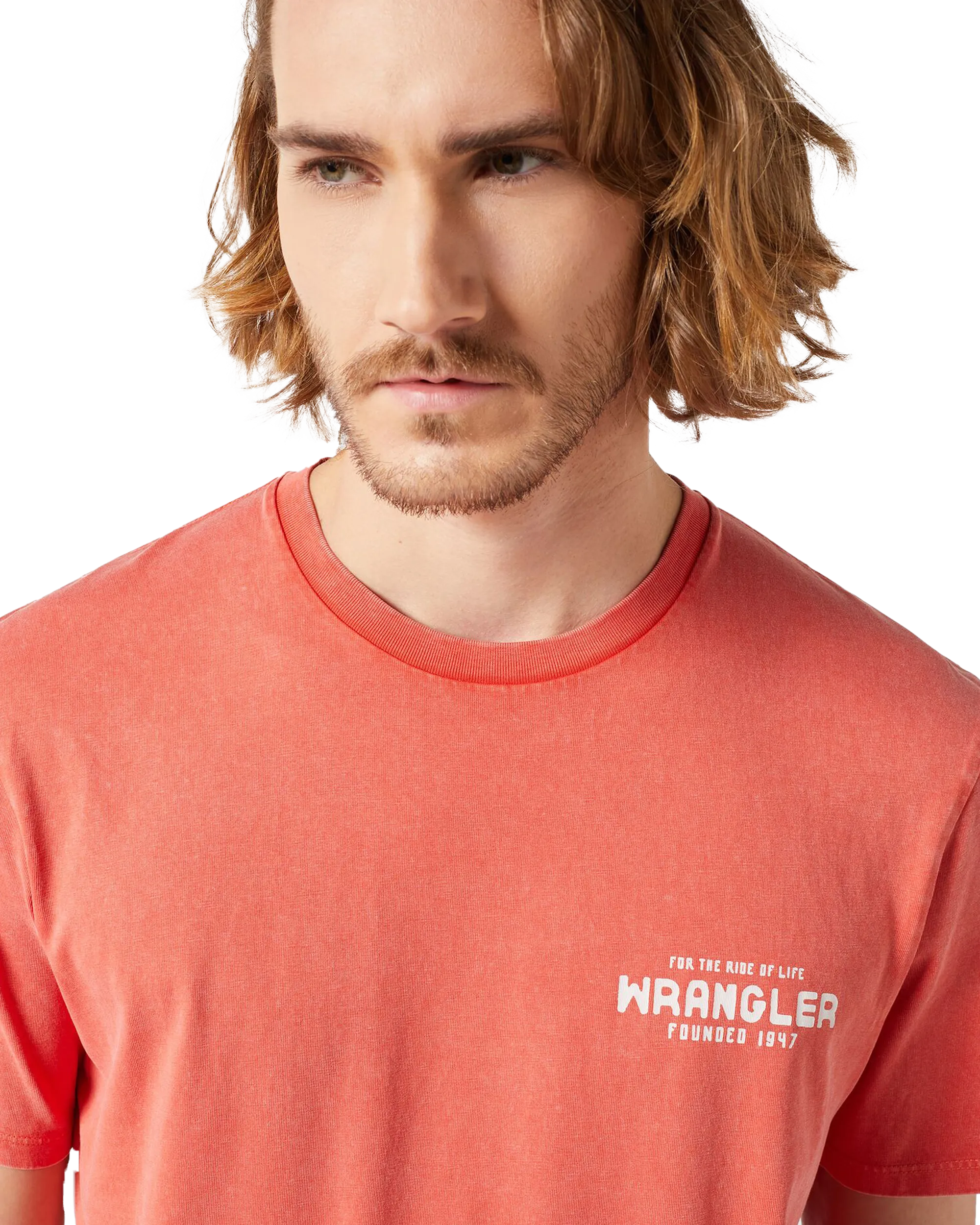 Graphic T-Shirt in Burnt Sienna