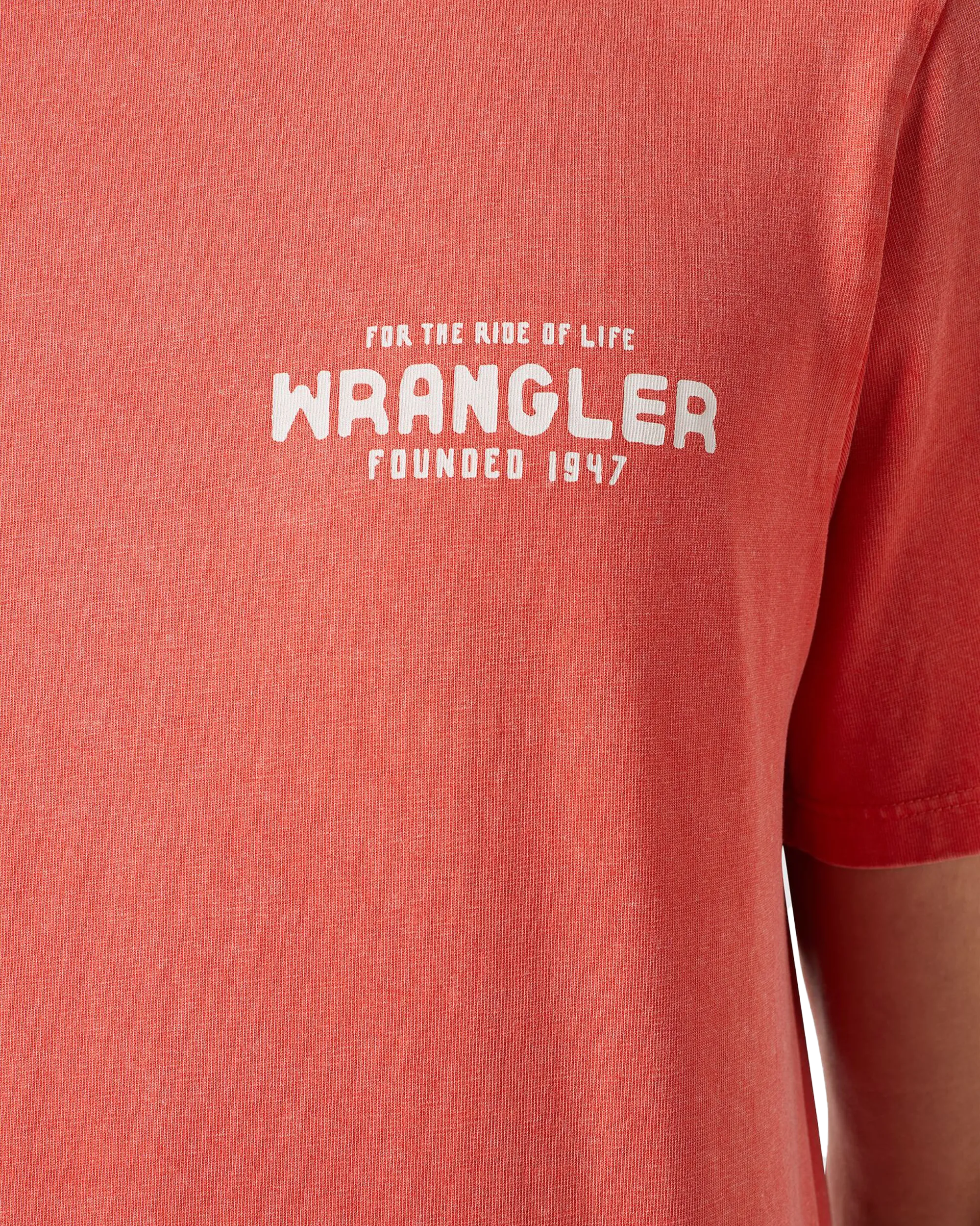Graphic T-Shirt in Burnt Sienna